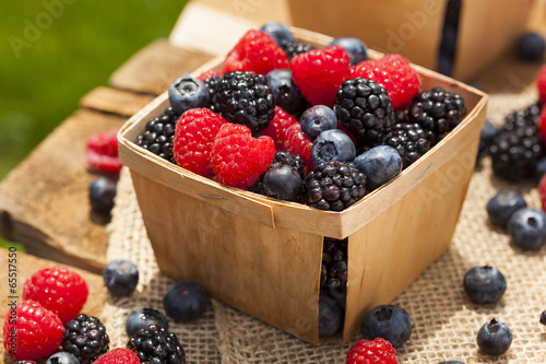 Healthy Organic Ripe Berries