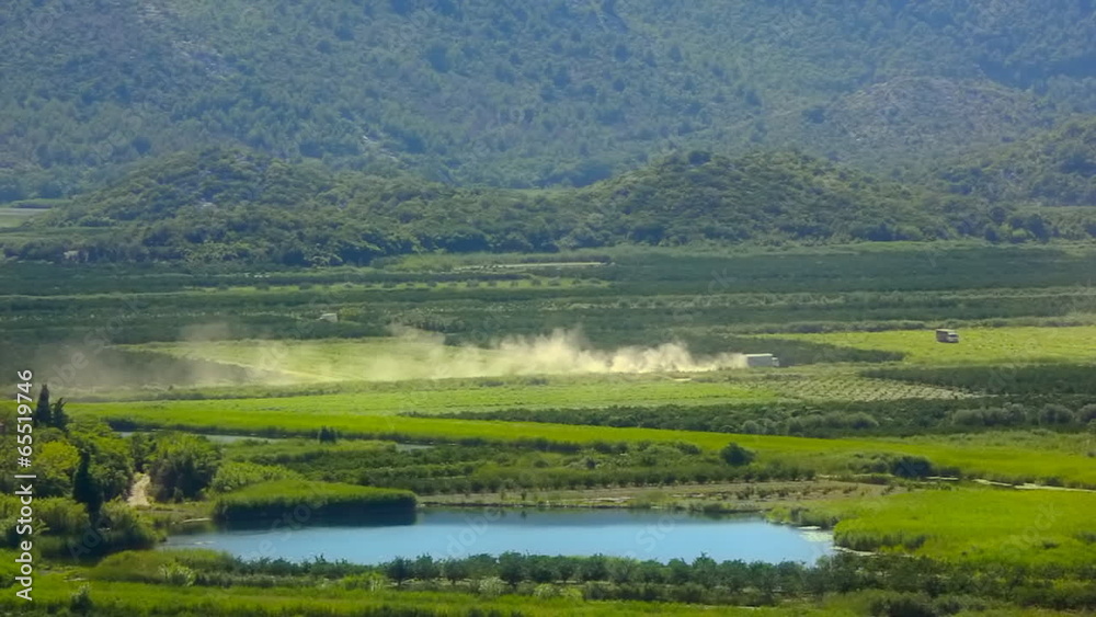 Field planted with fruit and vegetables