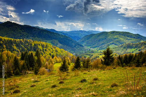 Alpine landscape with pine forests © Xalanx