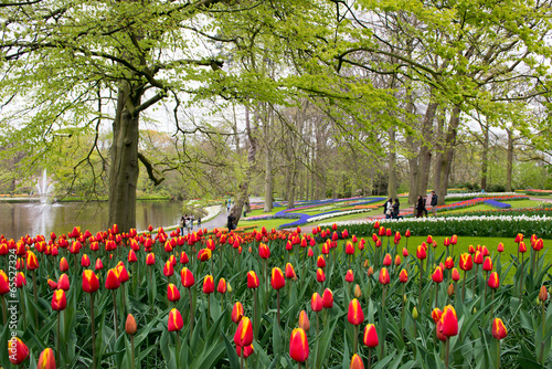 Promenade au jardin de Keukenhof
