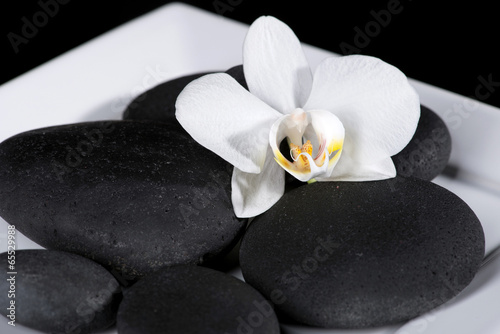 step stones decoration with orchid
