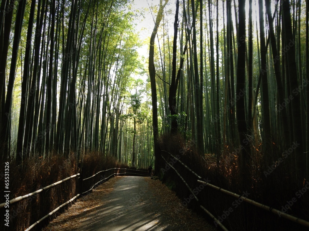 嵐山竹林の道