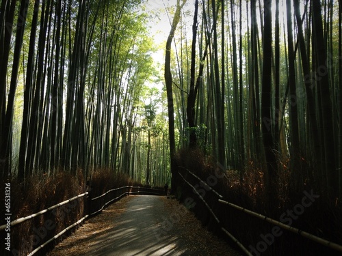 嵐山竹林の道
