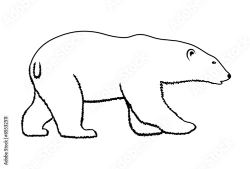 polar bear on a white background