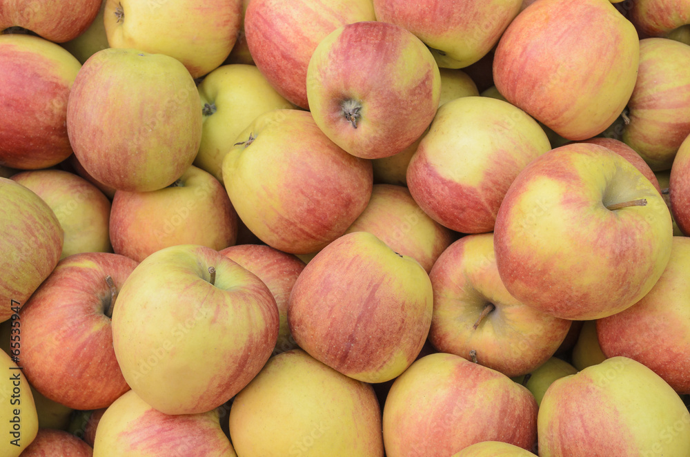 apples apples