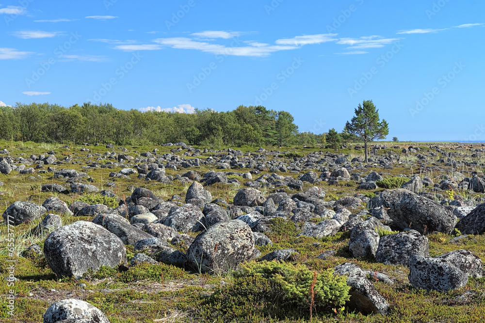 Field with stones on the Bolshaya Muksalma Island, Russia