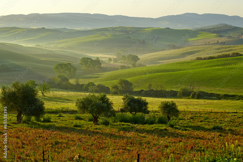 Fototapeta premium Countryside, San Quirico d`Orcia , Tuscany, Italy