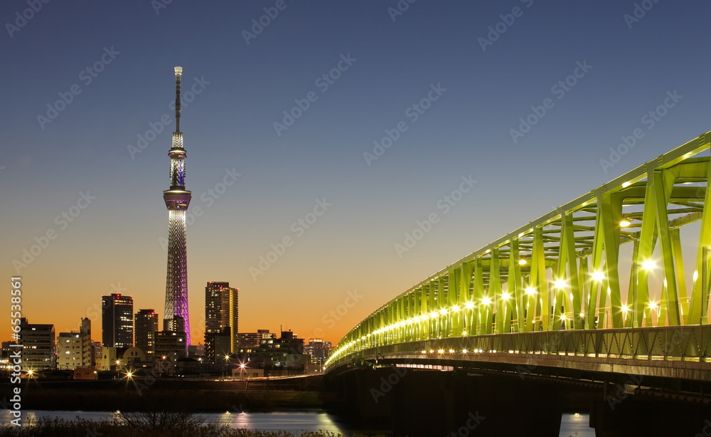 Tokyo city and Tokyo skytree at dusk