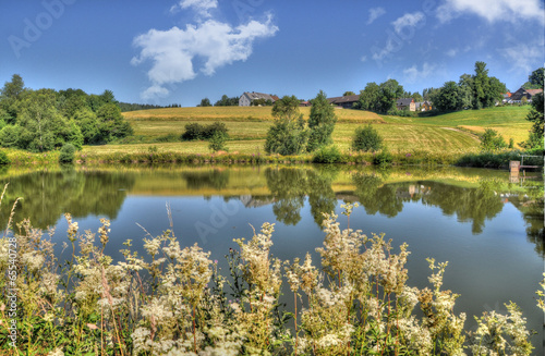 Fototapeta Naklejka Na Ścianę i Meble -  Summer landscape -HDR