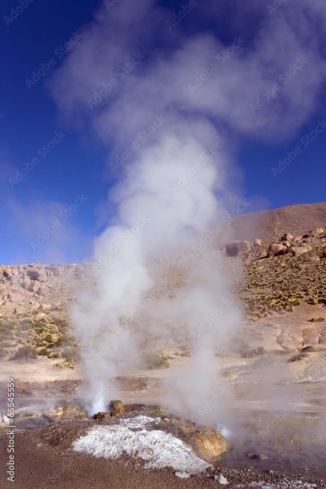 Fototapeta premium El Tatio Geyser Field - Atacama Desert - Chile