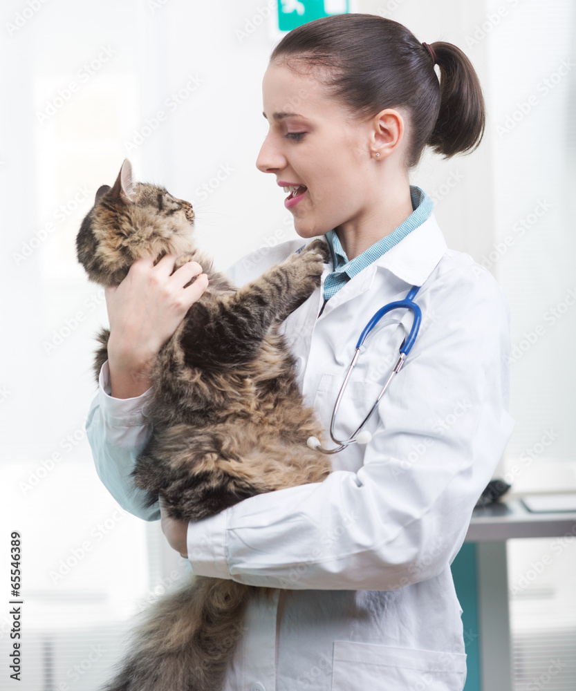 Veterinarian and Cat Veterinarian and Cat