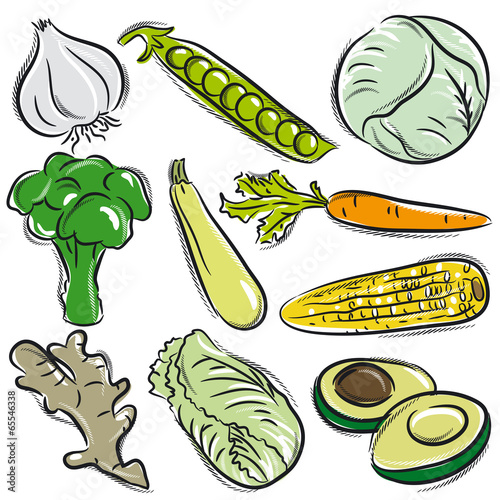 set of vegetable, garlic, peas, cabbage, vector