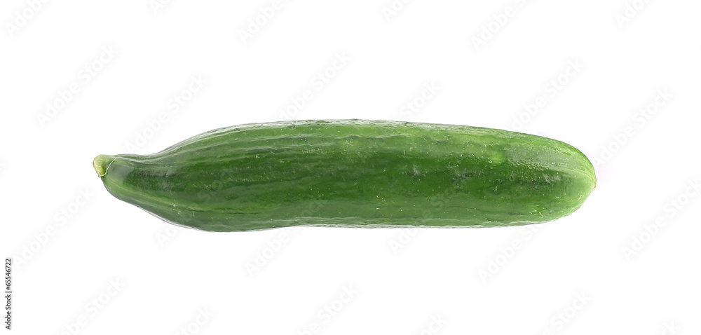 Fresh cucumber. Fresh cucumber.