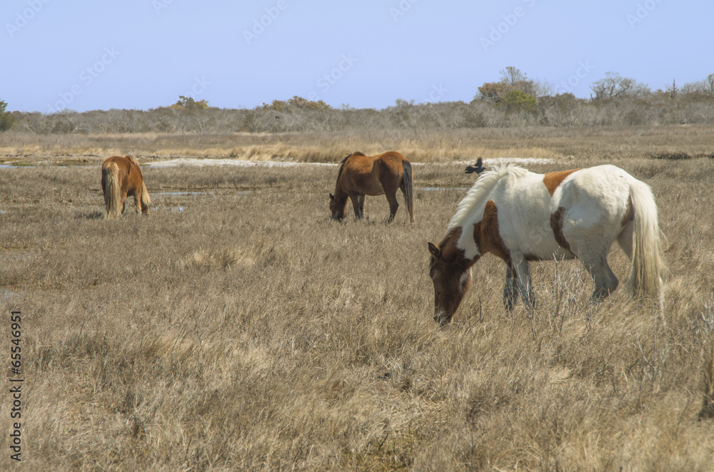 Obraz premium Assataque Three