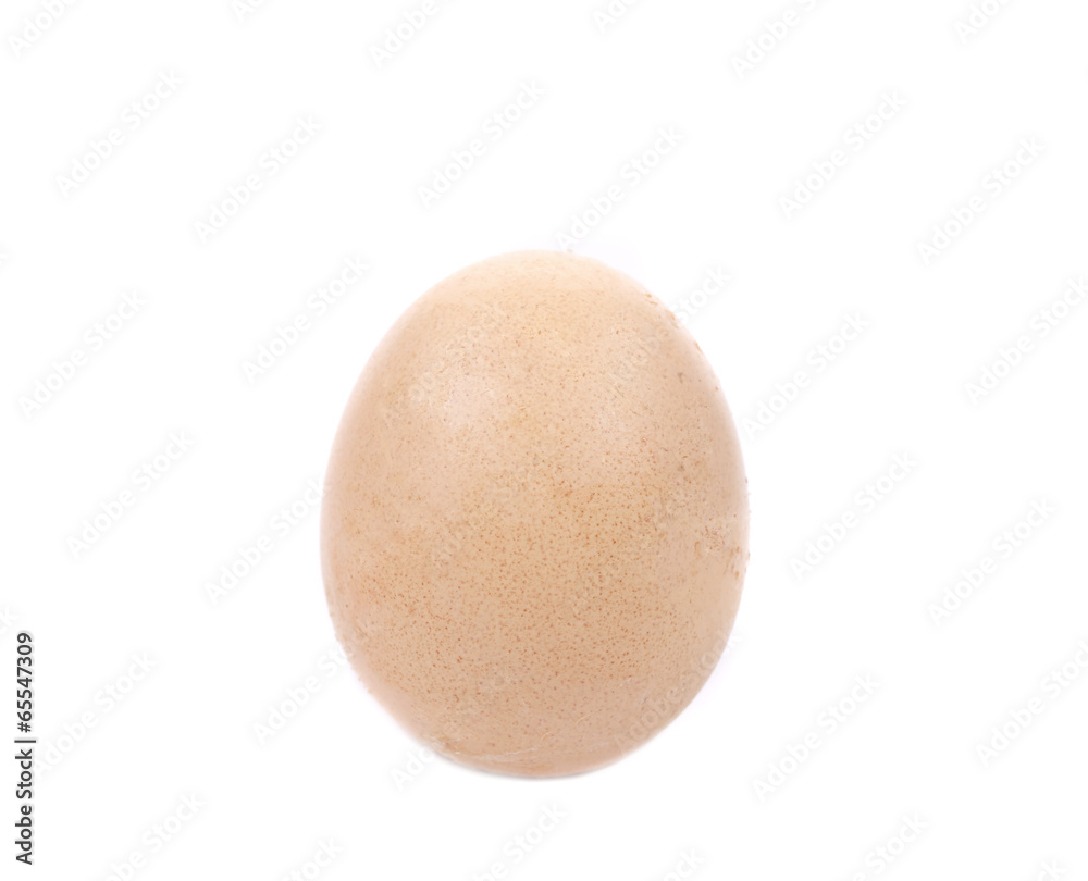 Close up of brown egg. Close up of brown egg.