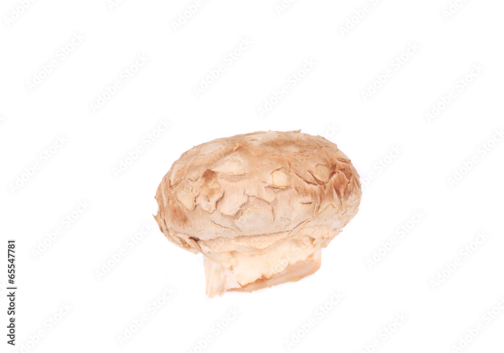 Fresh mushroom champignon. Fresh mushroom champignon.