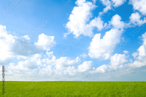 Landscape sunlit green field and blue sky with clouds