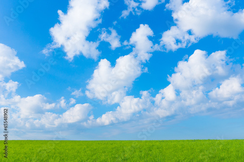 Landscape green field and blue sky