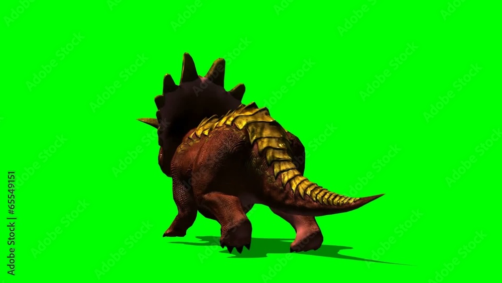 Triceratops dinosaur runs - green screen Triceratops dinosaur runs - green screen
