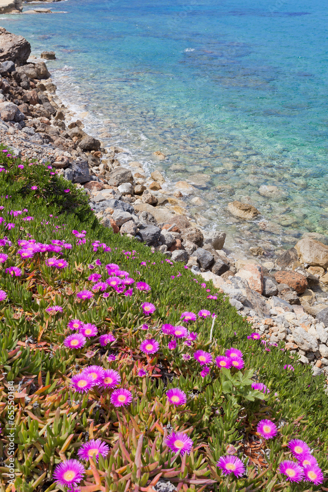 Obraz premium Kreta - Griechenland - Frühling in Chersonissos