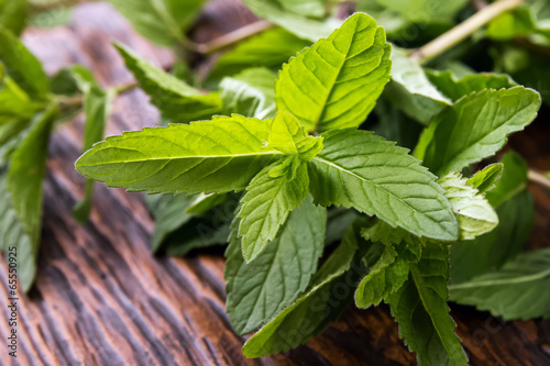 Mint leaves on the table
