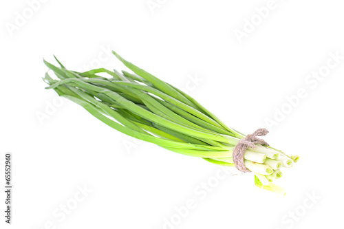 Green Leek Isolated on White Background