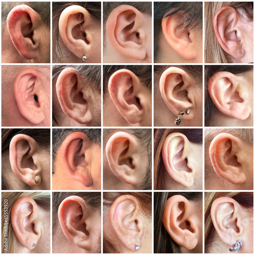 orecchie collage photo