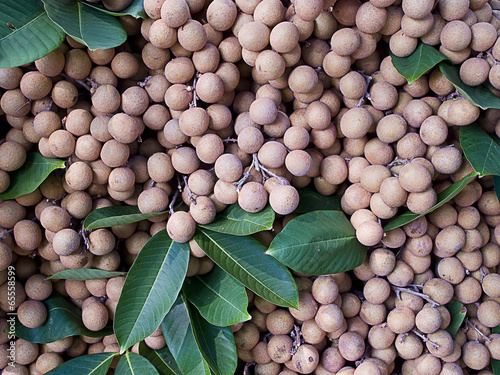 Longan