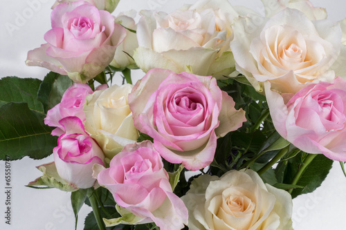 Pink and white roses