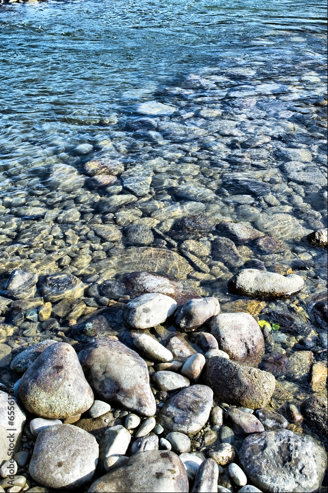 Bank of Katun river Bank of Katun river