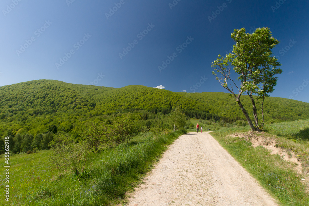 Szlak turystyczny w górach, Bieszczady, Polska