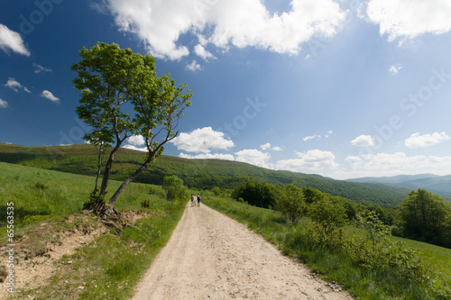 Szlak turystyczny w górach, Bieszczady, Polska  photo