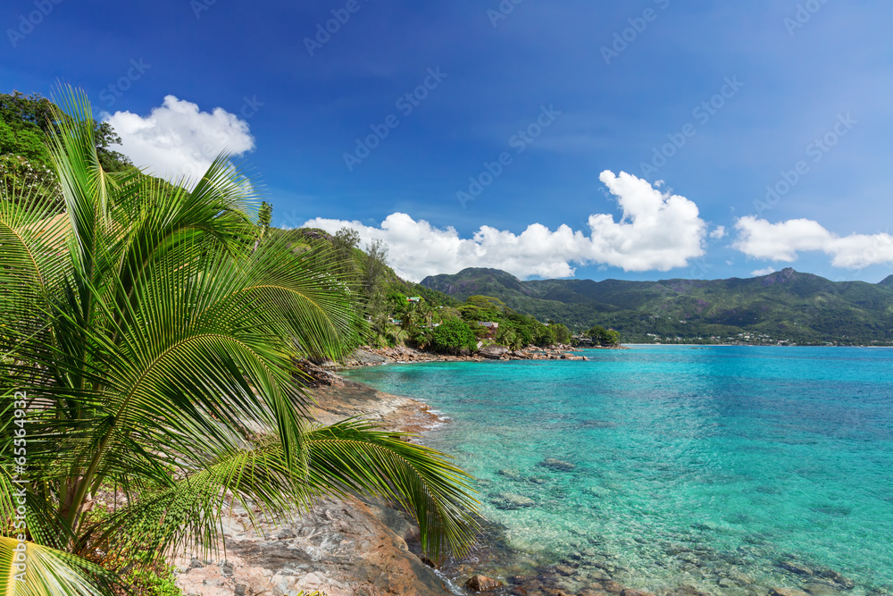 View of turquoise blue lagoon and hill and  palm tree branches o