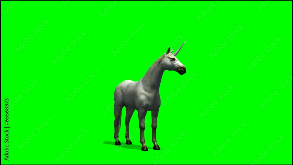 Unicorn stands and looks around - green screen Unicorn stands and looks around - green screen