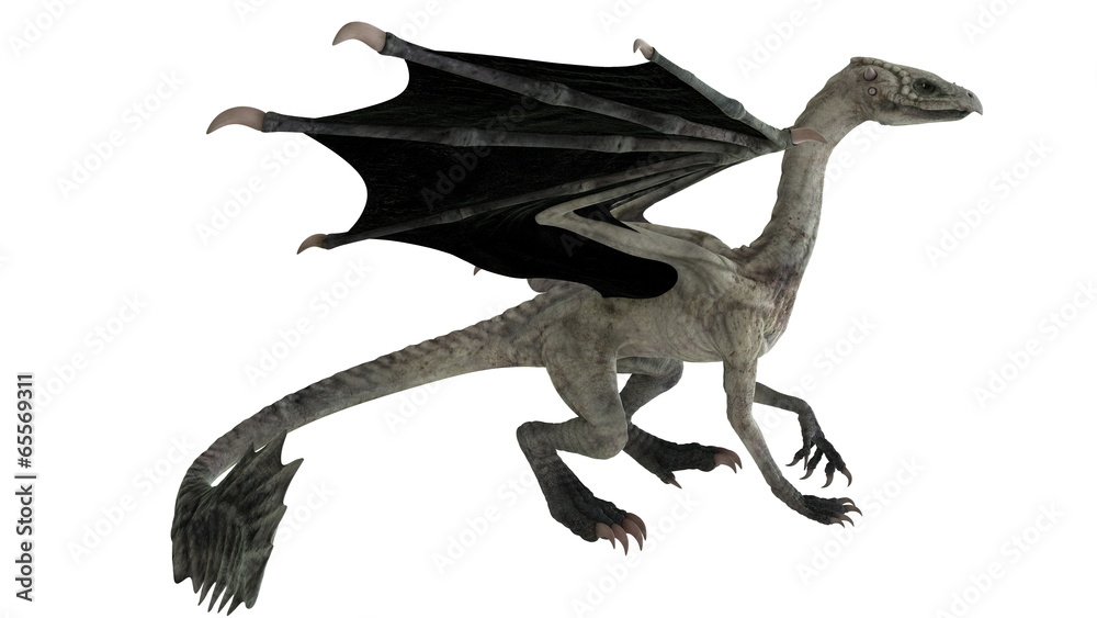 Obraz premium ドラゴン