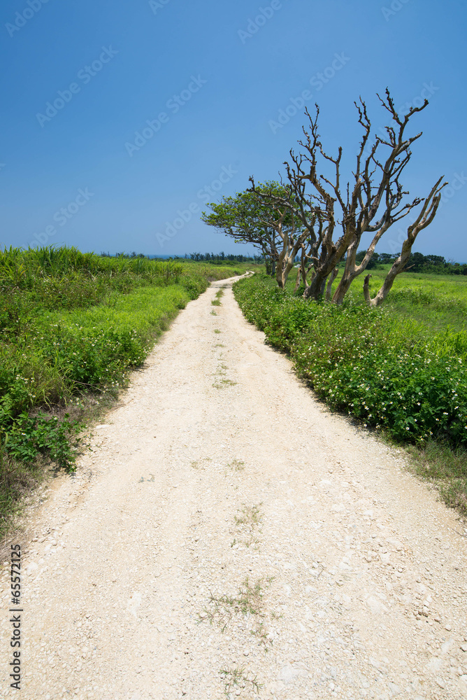田舎道 田舎道