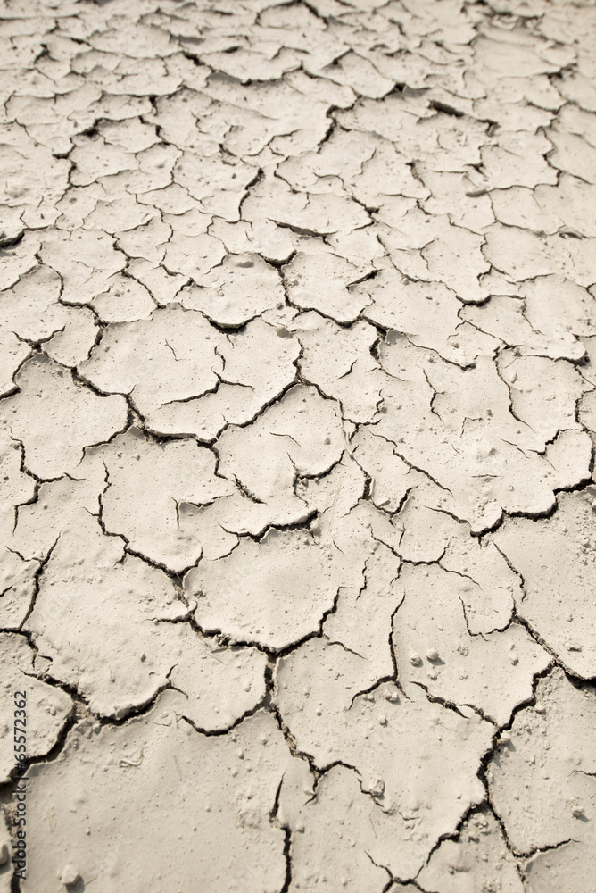 Fototapeta premium 干ばつ