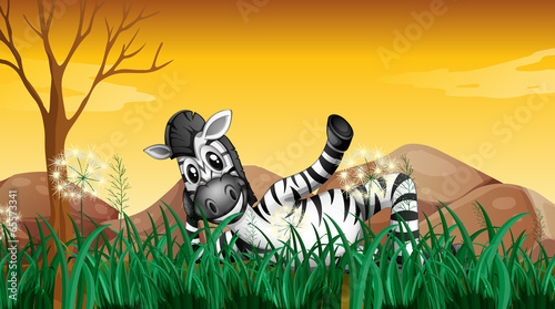 A zebra resting at the grassland near the big rocks