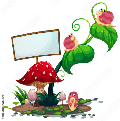 An empty signboard near the plants with snails