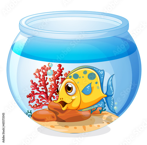 A jar with a fish