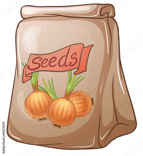 A pack of onion seeds