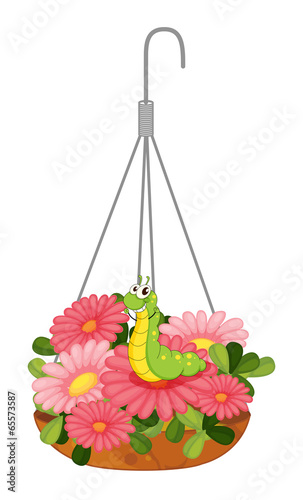 A hanging pot with plants and a worm