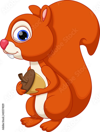 Cute squirrel cartoon