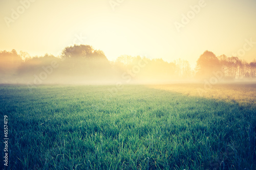 vintage photo of sunrise over meadow