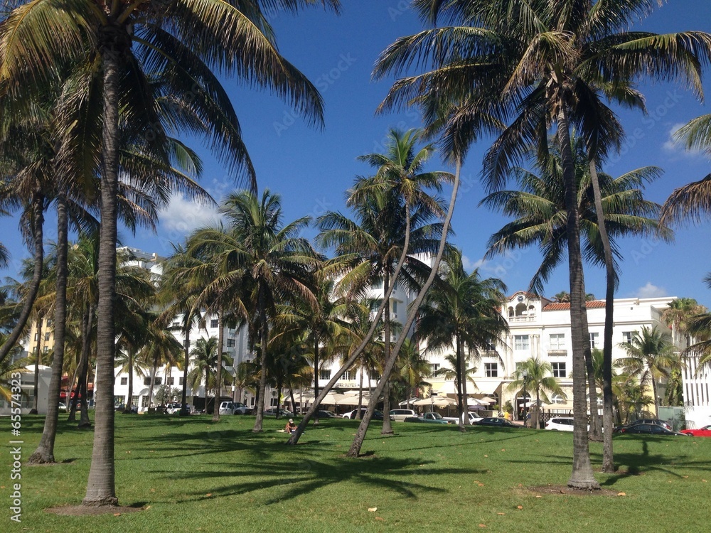 Miami Beach Hotels