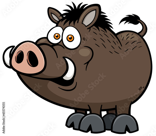 Fényképezés Vector illustration of Wild boar