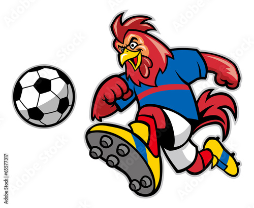 rooster soccer mascot photo