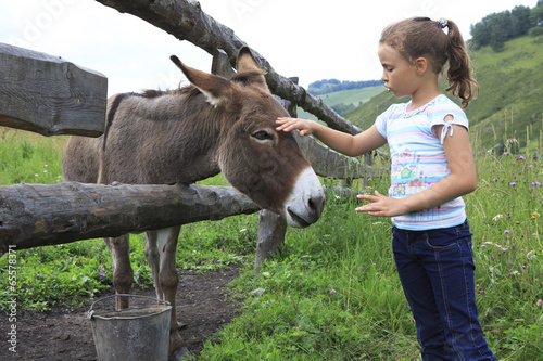 Fotografie Little girl tenderly stroking a donkey.