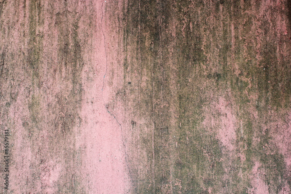 Obraz premium moss on painted wall