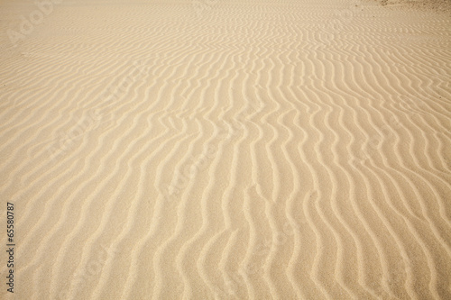 desert's sand pattern background